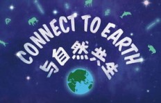 如何用土味情话开启你的浪漫副业，吸引万千粉丝？