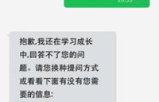 如何用英语表达‘短信’及其发送动作？求解详细说法！
