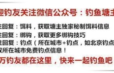 如何通过副业视频充实自我？原创方法大公开！