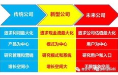 哪种公司类型盈利较低？创业者必看的选择指南