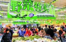 在山东农村创业，哪些项目最能赚钱？