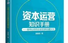 Cc直播如何通过资金运作实现盈利？