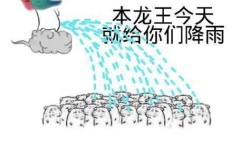 中年人如何通过养鱼实现盈利之道？