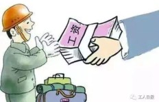 农民春节期间如何实现增收？过年期间有哪些赚钱途径？