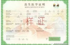 如何制作出生证范本？开启副业新思路！