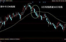 普通投资者在股市中能否实现盈利？散户赚钱的真实情况是怎样的？