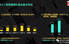 疯狂特效师如何通过视频实现盈利？