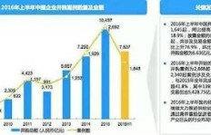 究竟哪个股权投资项目最具盈利潜力？