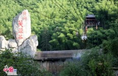 假山项目能否带来可观收益？投资前景如何？