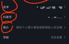 如何在抖音上掌握赚钱技巧，实现收益最大化？