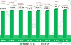 卖大型水果真能盈利吗？市场前景与成本分析详解