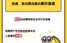 如何在闲鱼上通过拍照赚钱？
