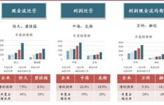 在项目中哪类工作能最快实现盈利？