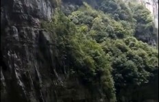 如何在深山老林中找到生财之道？