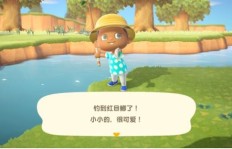 如何在动物森友会中实现出岛盈利？