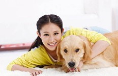女生养宠物狗真的能赚钱吗？如何实现经济效益？