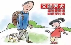 养狗作为副业，真的能带来可观收入吗？