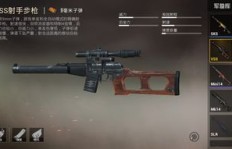 升级枪助力功能究竟能支持多少玩家同时使用？