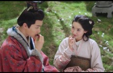 曹节小说背后的创作灵感与独特构思究竟源自何处？