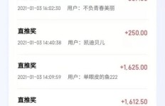 哪些项目最适合作为网络副业进行发展？