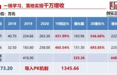 大猫年底如何实现盈利模式？