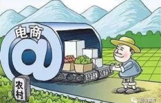 在农村创业，哪些商品销售最有可能带来高收益？
