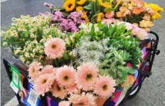 地摊卖花真的能赚钱吗？摆摊卖花利润如何？