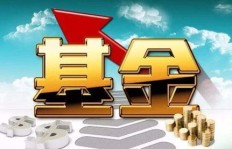 投资基金为何难以获利？掌握正确方法了吗？