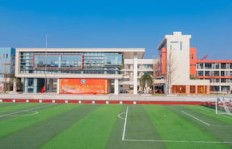 新区实验小学与西安高新区实验小学，哪所学校更值得选择？