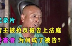 平多多助力被告背后有何隐情？真相令人深思
