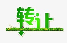 如何从零开始打造网店副业创业Vlog？新手必看！