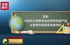 恒大主业与副业如何划分？其多元化布局背后有何玄机？