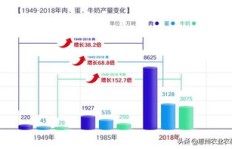 在农村，究竟发展哪类项目最具盈利潜力？