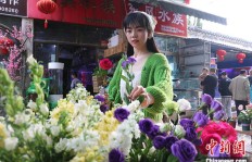 如何在花鸟市场中找到盈利点？
