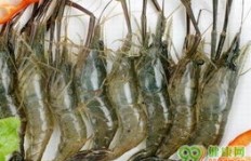 加入河虾养殖交流群，真的能赚钱吗？