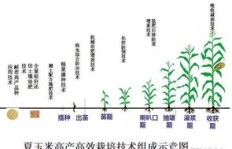 在农村包地种田，真的能实现盈利吗？包地赚钱的真相是什么？