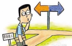 如何高效完成挖萝卜任务实现赚钱目标？