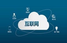 在当前网络环境下，究竟哪种项目最具盈利潜力？