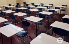 国际学校老师是否普遍拥有多项副业？