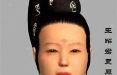 墙墙究竟在忙什么副业？背后隐藏的真相令人好奇！