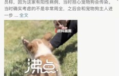 如何开启宠物副业之路？你准备好了吗？