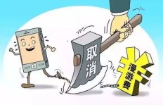 天元区副业火爆背后，究竟隐藏着哪些不为人知的机遇？