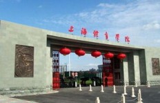 体育大学哪些专业毕业后收入更高？