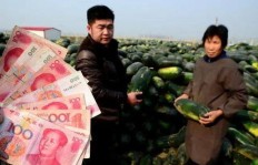 农村亲戚带来哪些特产最具赚钱潜力？