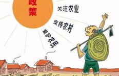 副业管理者如何高效应对各种挑战与问题？