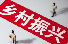 农村副业如何助力乡村振兴？小说中的致富秘诀你知道吗？