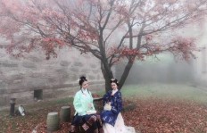 清风唱晚与清枫唱晚，两种鸡玩法有何不同？