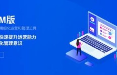 跨境电商广告投放有哪些盈利策略？如何高效变现？