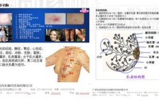 哪些品牌是微商内衣代理的首选？探索十大畅销内衣品牌代理优势