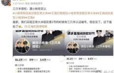 小杨哥切片真的能带来可观的收益吗？你试过吗？